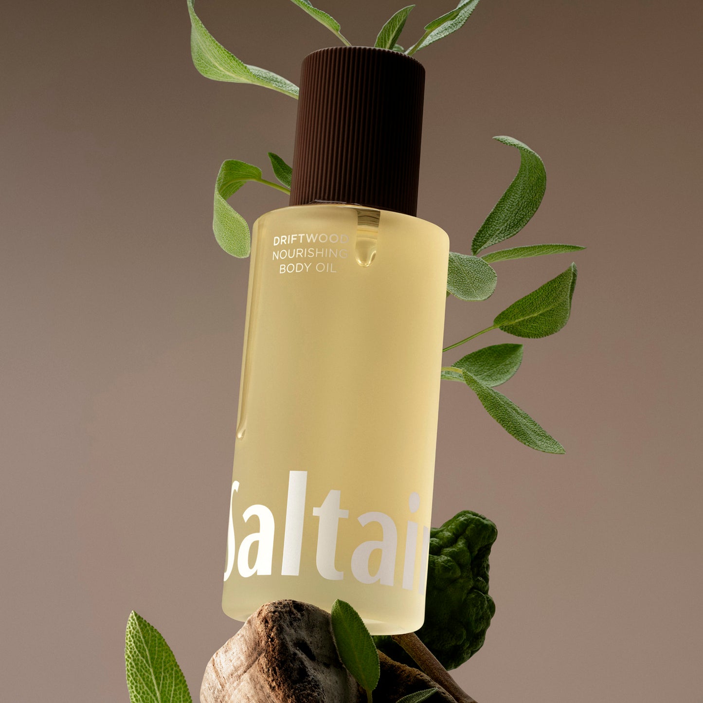 Saltair Driftwood Nourishing Body Oil